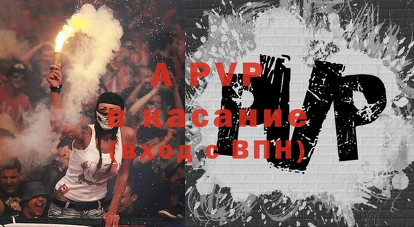 сатива Дмитриев