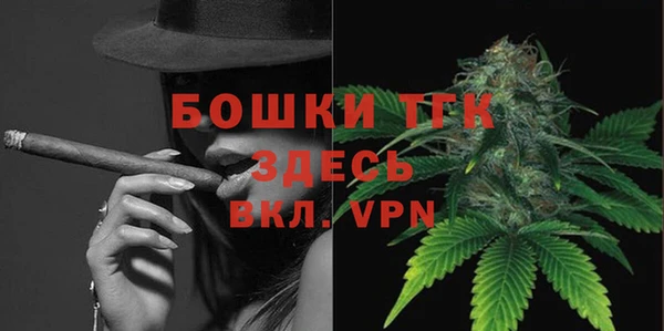 сатива Дмитриев