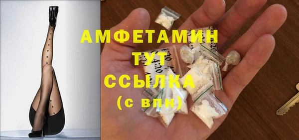 сатива Дмитриев
