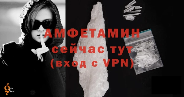 сатива Дмитриев