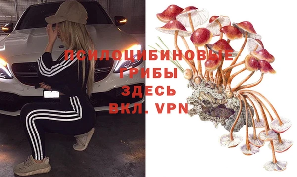 сатива Дмитриев