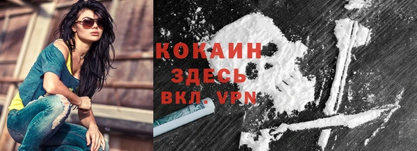 сатива Дмитриев