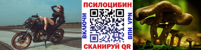 Купить закладки  Отрадное  Псилоцибиновые грибы ЛСД 